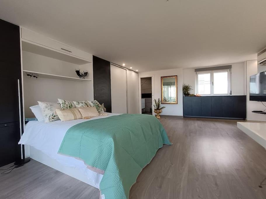Spacious Studio By The University San Vicente Raspeig Ngoại thất bức ảnh